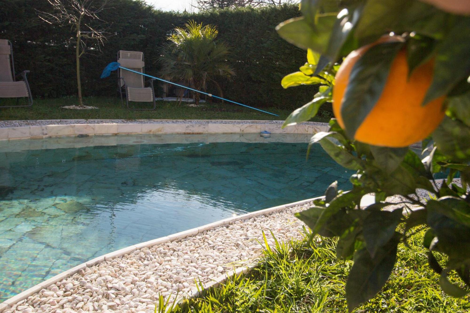 Guest H4U - Villa Garden & Pool Póvoa de Varzim Exteriör bild